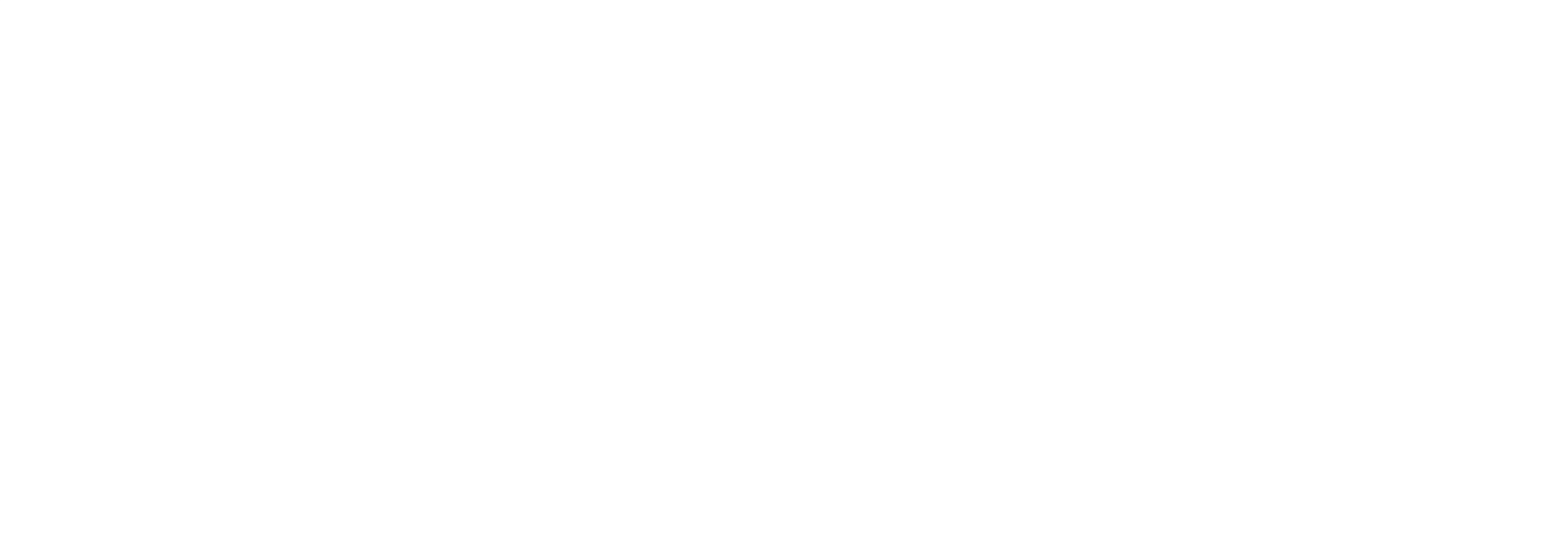 Servicios Geometalurgicos del Norte